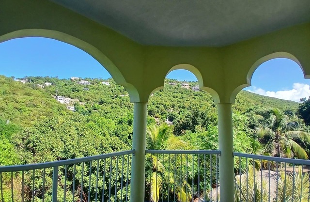 Adorable 1-bedroom apart W/ FREE SUV in charming St Thomas