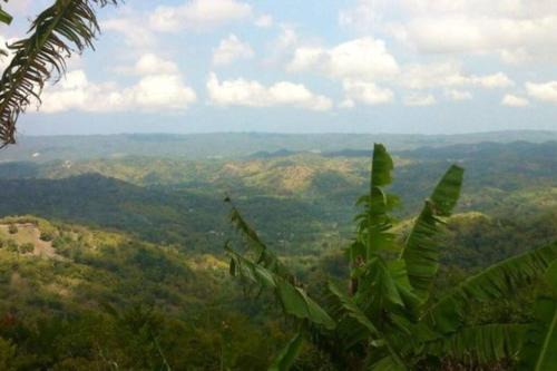 Andeve's tranquil beautiful home