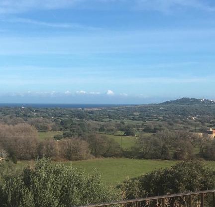 Chambre d'Hotes Domainedilalivi