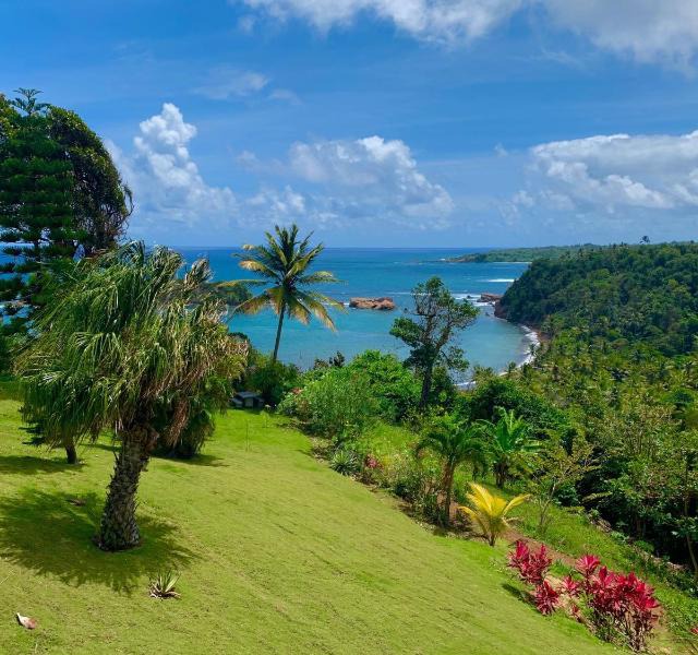 Hotels in Dominica