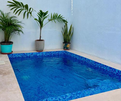 EXCELENTE ALBERCA PRIVADA EN RESIDENCIAL PRIVADO, GYM, asador