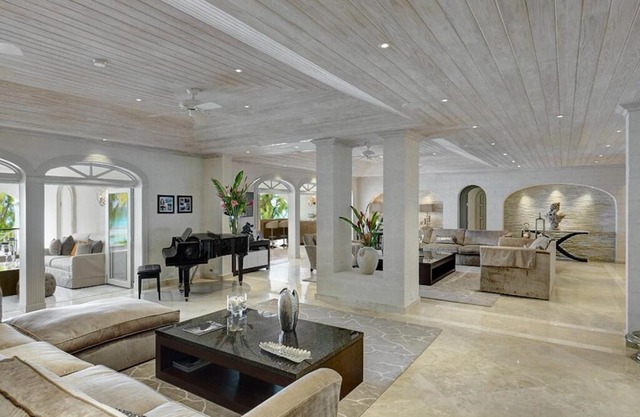 Firefly at Old Trees