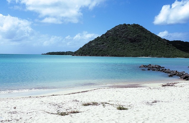 Harbour Island Residences