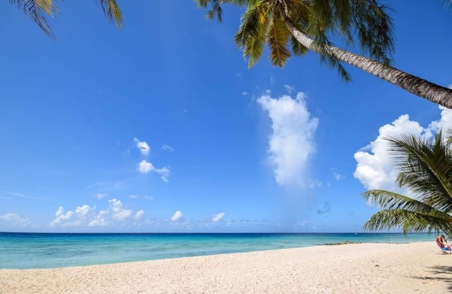 Modern 2-bed Apt Near Beach In St. Lawrence Gap 2 Bedroom Apts by Bluescape