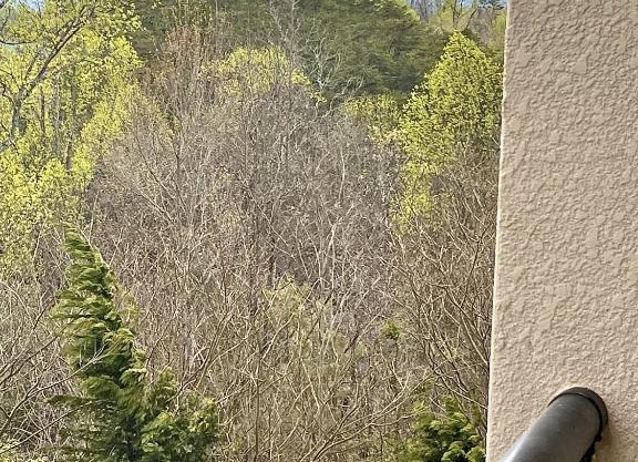 MVC - Unit 5405 - The WilderNest