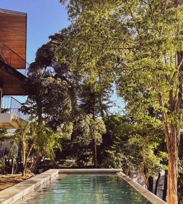 Purapura Santa Teresa