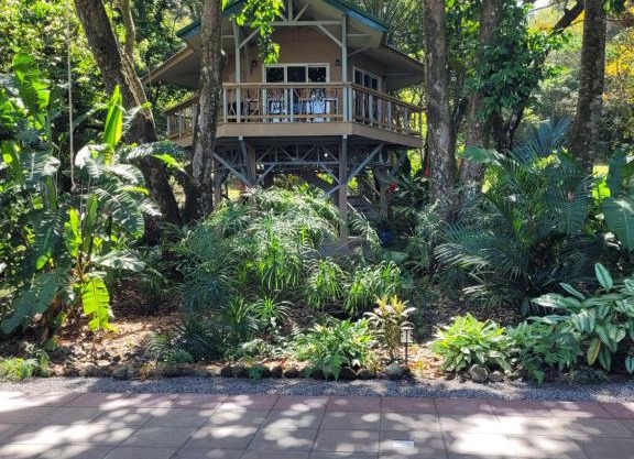 Treehouse La Hierba, Pavones